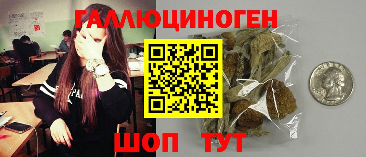 Псилоцибиновые грибы мицелий Тобольск
