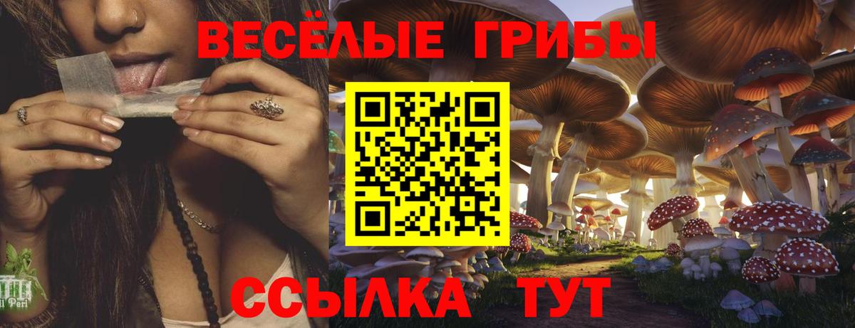 Тобольск  Псилоцибиновые грибы Psilocybe  где купить   Галлюциногенные грибы Psilocybe  Вход с VPN 